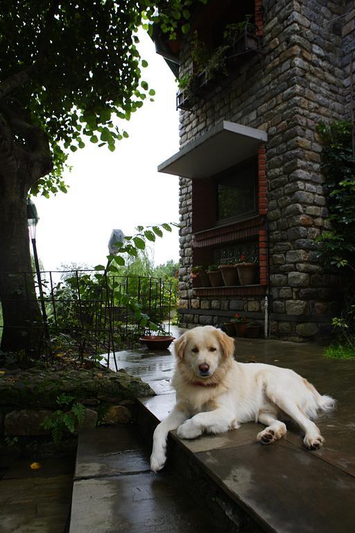 Saffronstays Himalaica, Nainital Bhowali Exteriér fotografie