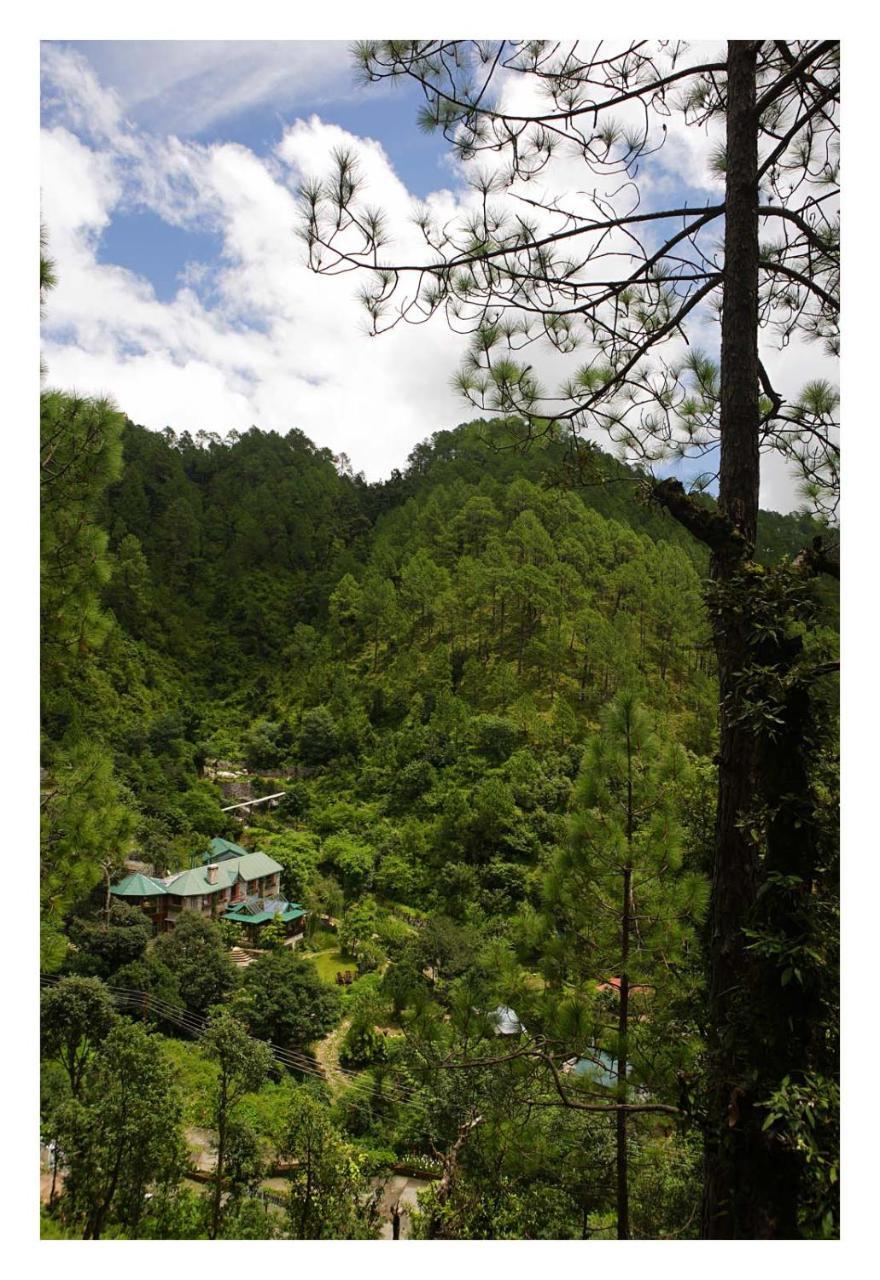 Saffronstays Himalaica, Nainital Bhowali Exteriér fotografie